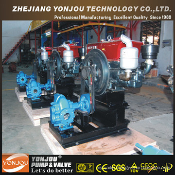 Cooking Oil Pump, Rotary Gear Pump, Gear Oil Pump, Oil Cogwheel Pump